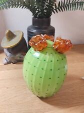 Vibrant flowering cactus for sale  BRISTOL