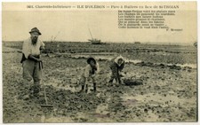Cpa ile oléron d'occasion  Hérouville-Saint-Clair