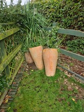 Tall wonky natural for sale  MIDDLEWICH