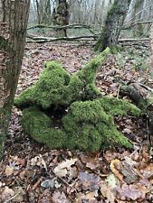 Mossy tree stump for sale  MARLBOROUGH