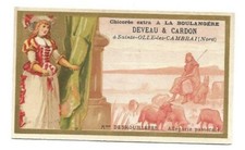 Mme deshouilléres chromo d'occasion  Quimper