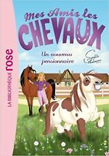 Livre amis chevaux d'occasion  Les Mureaux