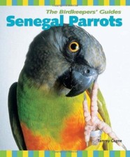 Senegal parrots gagne for sale  Citrus Heights
