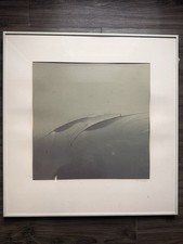Lisa toby cibachrome for sale  Fort Worth