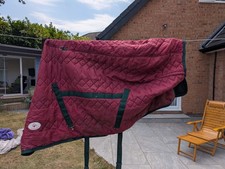 Stable rug neck for sale  DARLINGTON