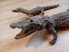 Crocodiles naturalisés taxide d'occasion  Paris XIX