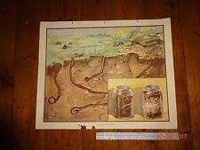 enid blyton nature plates for sale enid blyton nature plates for sale READING