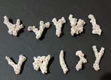 White coral pieces for sale  Ingleside