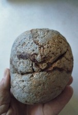 Prehistoric paleo american for sale  Gresham