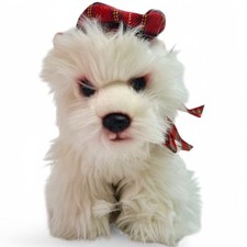 West highland terrier for sale  SEAFORD