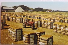 cotton gin for sale cotton gin for sale Wilmington