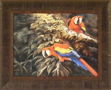 Macaws talk gamini for sale  Onamia