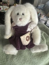 Boyd bunny purple for sale  Ogden