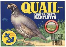 Quail vintage sacramento for sale  Chico