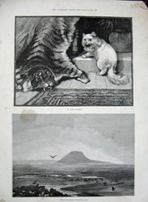 Old antique print for sale  UK