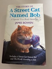 Street cat named for sale  SHEFFIELD