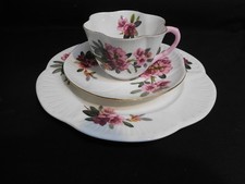 Rare shelley china for sale  Germantown