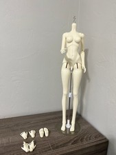 Bjd ball jointed for sale  Gainesville