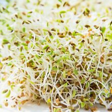 1500 alfalfa sprouting for sale  Buffalo