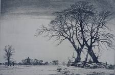 Niederrheinische landschaft ma gebraucht kaufen  Neckargemünd