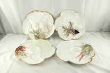 Cgh limoges oyster for sale  Mechanicsburg