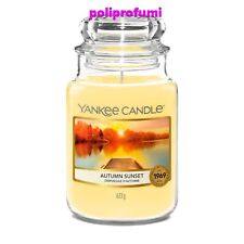Yankee candle autumn usato  Urgnano