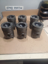 Set pistons rings for sale  LEEK