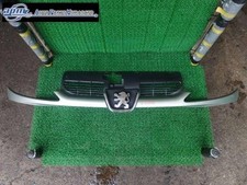 Grelha de radiador PEUGEOT 206 2005 GH-T16RG [usada] [PA65990043], usado comprar usado  Enviando para Brazil