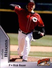 2008 buffalo bisons for sale  Rockford