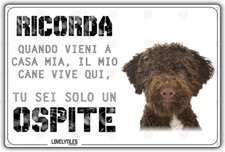 Cartello cane lagotto usato  Vertemate con Minoprio
