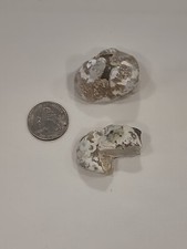 Large beach agate for sale  Medford