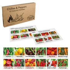 Chilli seeds varieties for sale  BARRY