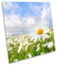 Daisy summer floral for sale  UK