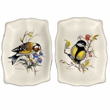 Bluetit goldfinch birds for sale  NEWARK