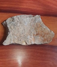 Lower carboniferous crinoid for sale  STOCKPORT