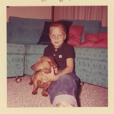 1960s boy dachshund for sale  San Diego