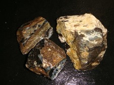 petrified wood drift for sale petrified wood drift for sale Dyer