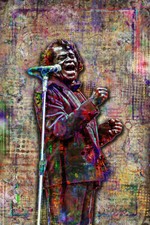 James brown poster for sale  Chicago