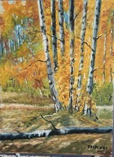 Dipinto olio paesaggio usato  Mortara