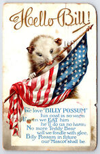 billy possum for sale  Lambertville