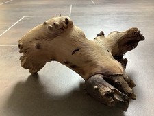 Aquarium wurzel terrarium gebraucht kaufen  Clausthal-Zellerfeld
