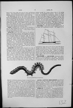 Old antique print for sale  UK