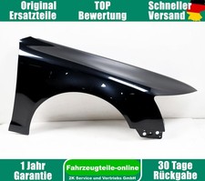Kotflügel seitenwand vorn gebraucht kaufen  Eilenburg