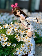 Volks kizuna dds for sale  Southbury