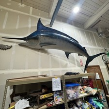 Foot fiberglass marlin for sale  Redmond