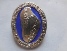 Distintivo scuola professional usato  San Casciano in Val di Pesa