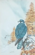 Ian bowles watercolour for sale  UK