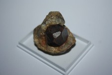 Almandin granat paraiba gebraucht kaufen  Helsa