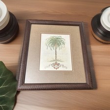Phoenix dactylifera vintage for sale  Port Saint Lucie
