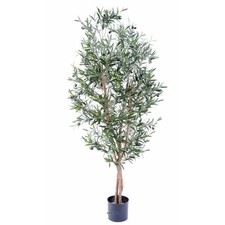 Olivier artificiel pot d'occasion  France